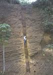 Profil des Rohstoffes Allophan in Ecuador